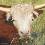 One-of-the-Herd-12x12 by Bob Bradshaw